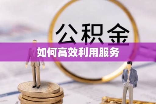 肥城如何高效利用服务