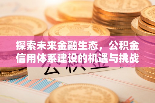 肥城探索未来金融生态，公积金信用体系建设的机遇与挑战